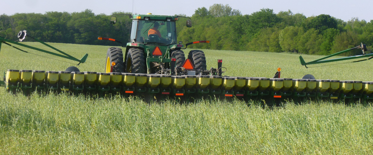 Planting Soybean Cover Crop